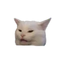 kucinggarongg