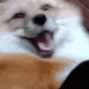 shake Discord emoji