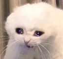 Sad