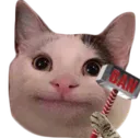 ban
