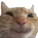 LSswagCatHappy