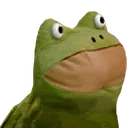 frog_what