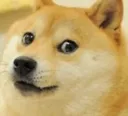 DC_doge DC_doge