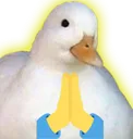 DuckDorime