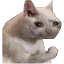 sad_cat