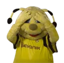 beevbee beevbee