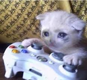 sad_cat_game Discord emoji