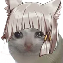 niaSadCat