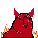 parrotfire_DV
