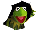KermitHole Discord emoji