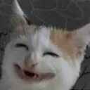 cat_lmao