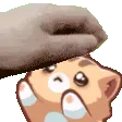 gimmePlsPat gimmePlsPat