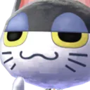 CatSmug