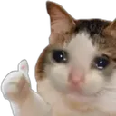 cat_ok