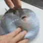 puff