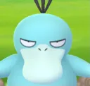 AngryPsyduck AngryPsyduck