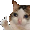 Rs_GatoPiola