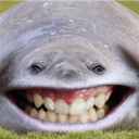 smiles Discord emoji