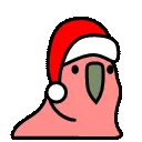 PartyParrot22