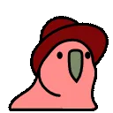 ANPartyParrot21 ANPartyParrot21