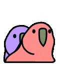 ANPartyParrot19 ANPartyParrot19