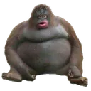 monke