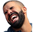 drake_laugh Discord emoji