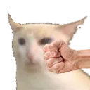punchcat