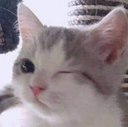 y_wink Discord emoji