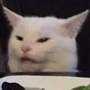 Cat Wat Discord Emoji