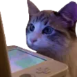 WatchingStream