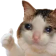 Cat Thumbsup cat_thumbsup Discord Emoji