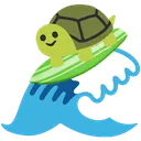 turtlesurf