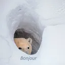 vr_bonjour vr_bonjour