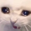 cry