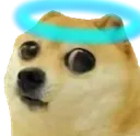 dogeangel dogeangel