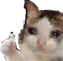 thumbs_up_cat