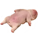 deaddogo