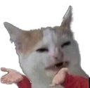 Nb_wuttis Discord emoji