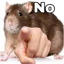 no_raton no_raton
