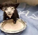 die die