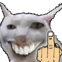 weshmiddlefinger