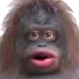 ludwigStinky ludwigStinky
