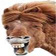 distLul distLul