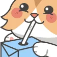 lysSip