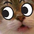 jparaLeft jparaLeft