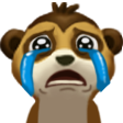 :jadiCry: