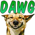 tarikDawg