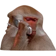 ekuPHONE