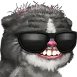 lirikBOOMER